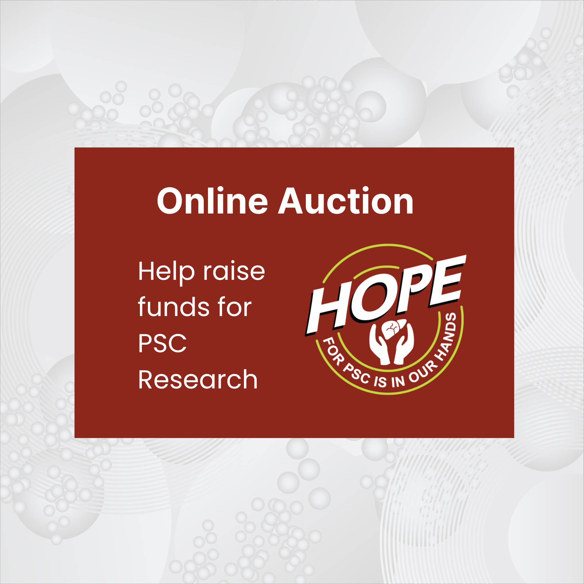 PSC online auction fundraiser